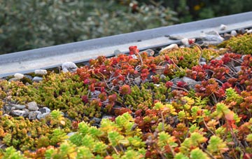 the cost of Fairburn green roof installation