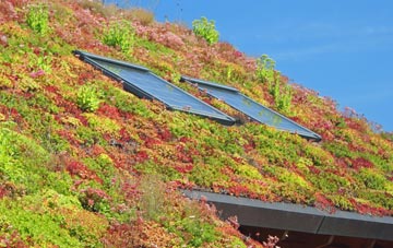 Fairburn living roof systems