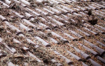 Fairburn roof cleaning companies