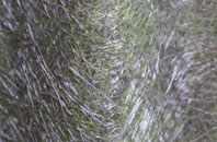 Fairburn fibreglass roof work